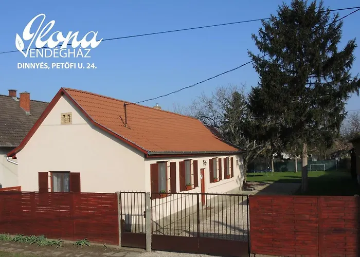 Ilona Vendeghaz * Dinnyés