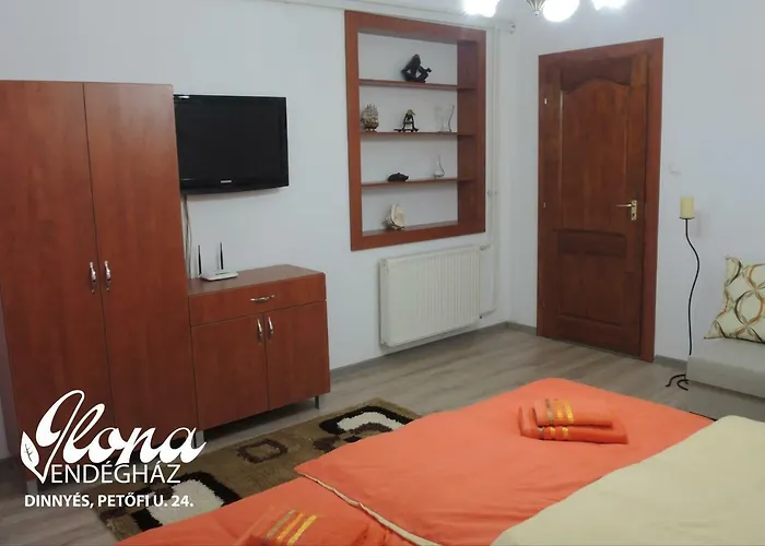 Ilona Vendeghaz Konukevi Dinnyés